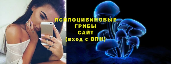 первитин Нягань