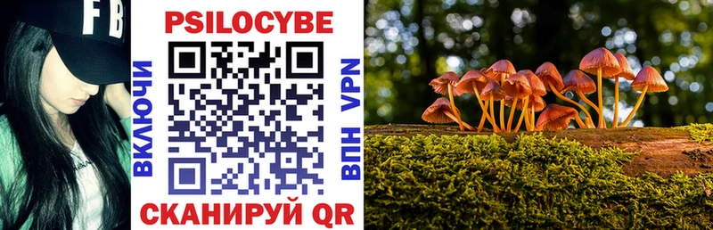 Галлюциногенные грибы ЛСД  площадка официальный сайт  Рыбное  ОМГ ОМГ  